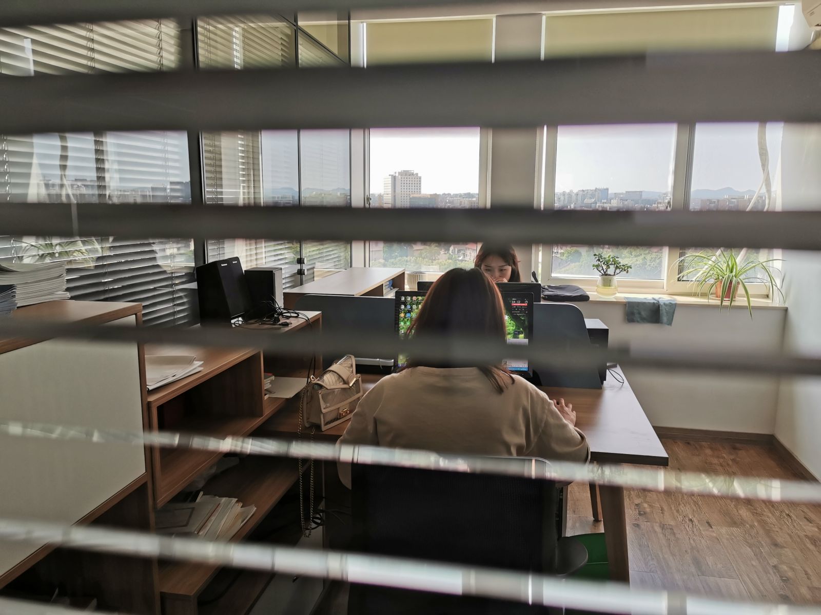 麦职教育办公环境