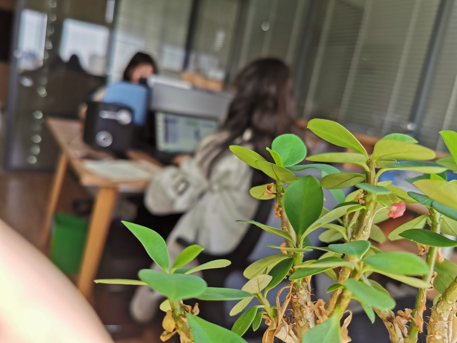 麦职教育办公环境